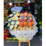 giỏ trái cây tặng quà 3