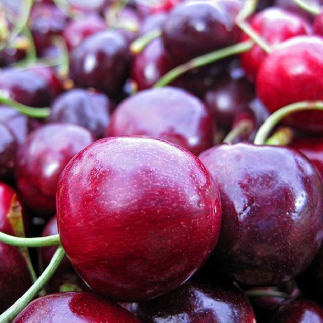 Cherry Mỹ nhập khẩu