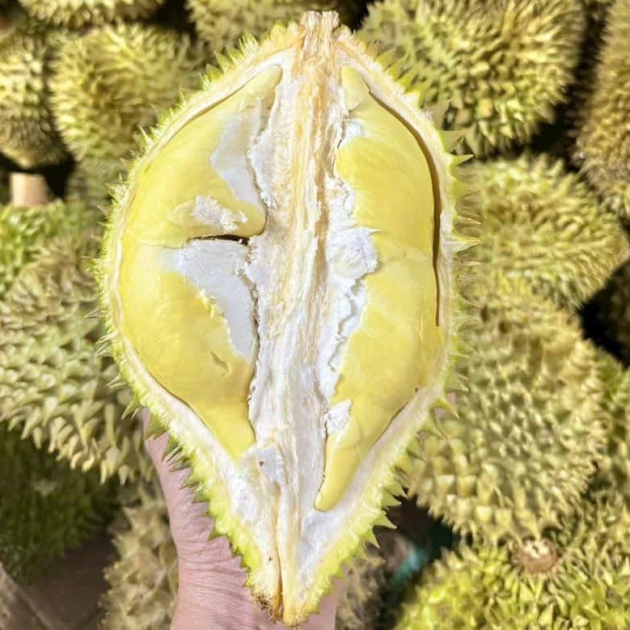 Sầu riêng Monthong
